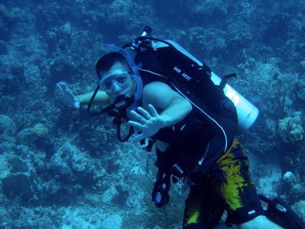 Stay back!!  I’m diving here.