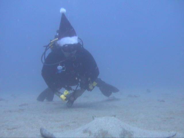 Santa Ray