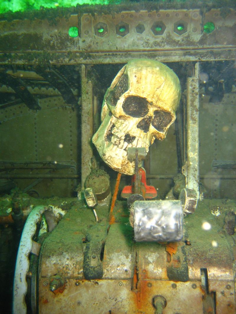 Skull in the cockpit of airplane in Gilboa quarry