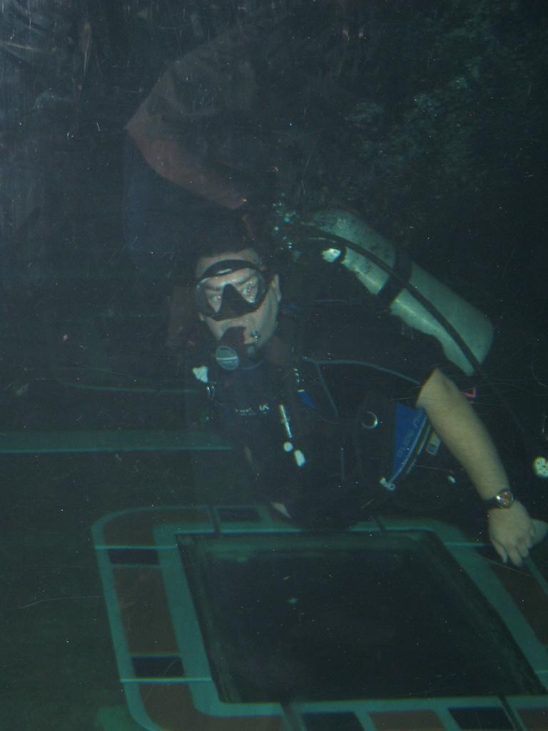 Dive Quest at Epcot