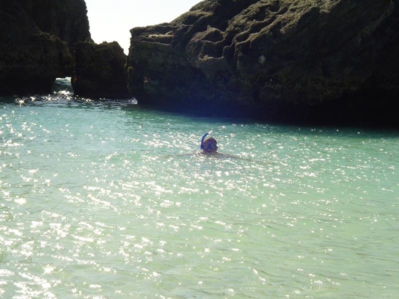 Snorkeling in bermuda