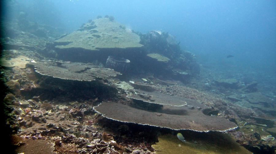 Tepekong - Candi Dasa - Bali