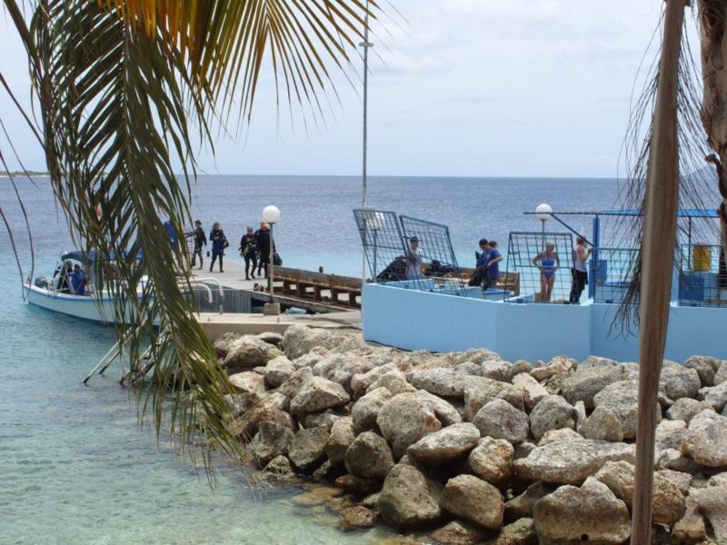 Bonaire Dive & Adventure 2010