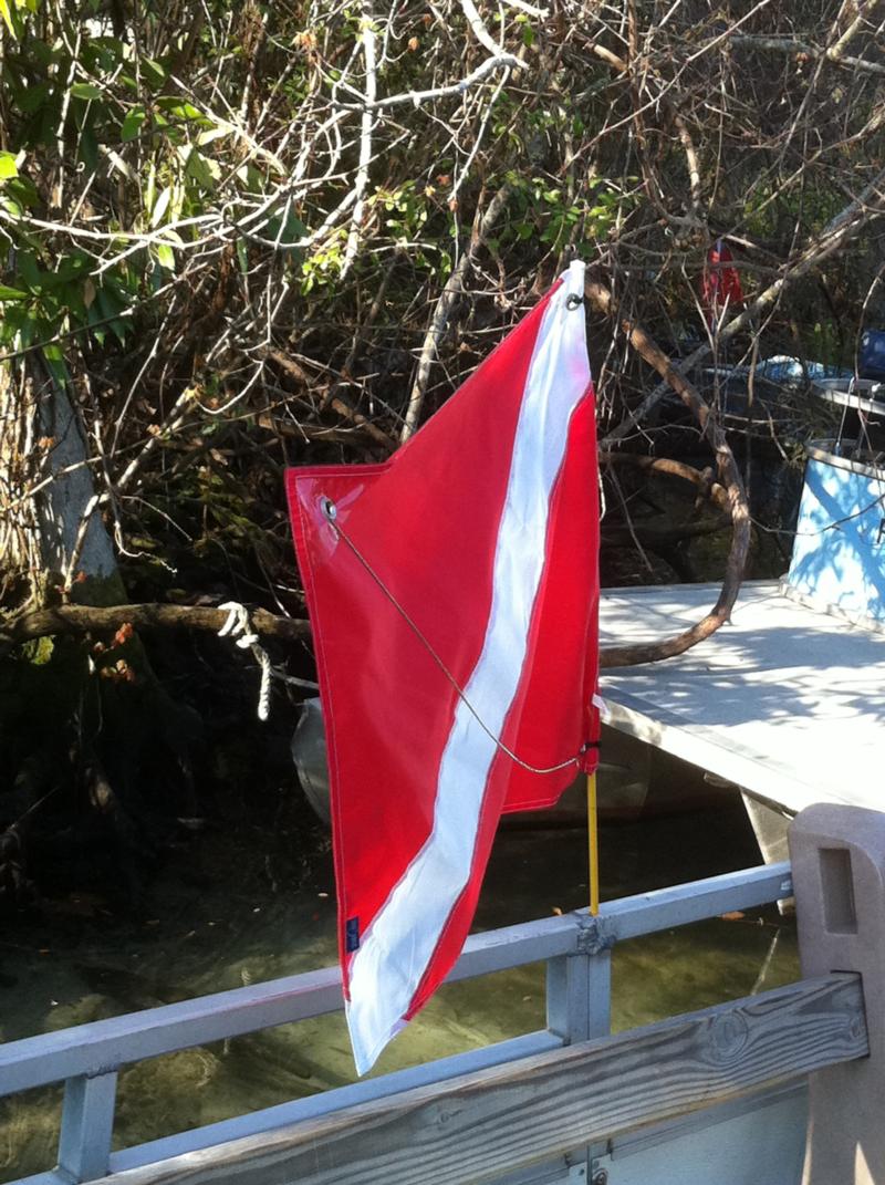 Dive Flag