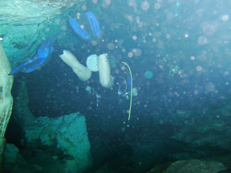 Scuba Sara in Dos Ojos