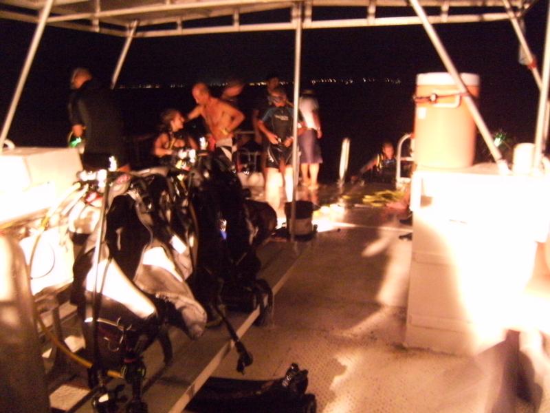 Night Dive At El Bandera Cancun