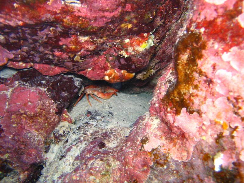 Milolii Bay, Hawaii