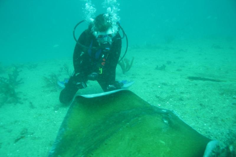 Me and Wally the rough tailed ray
