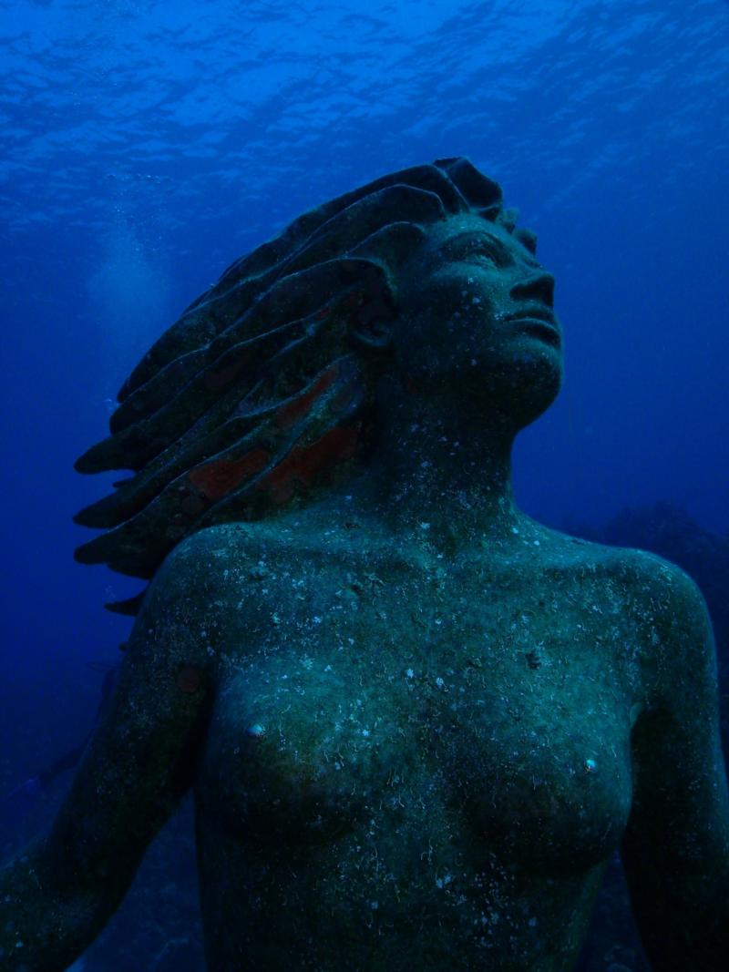 Amphitrite, Sunset House, Grand Cayman