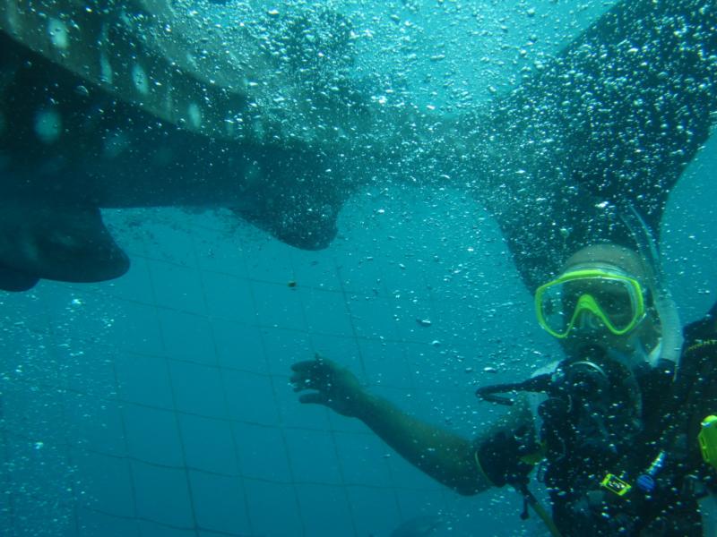 Me and a WhaleShark