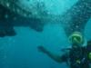 Me and a WhaleShark