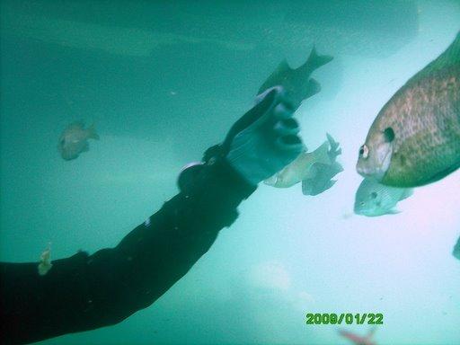 me teasing the fish @ pelham