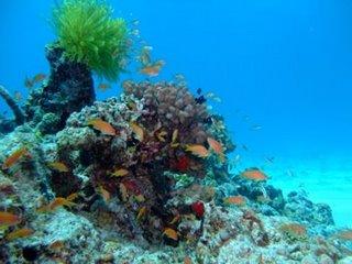 minna island  (Okinawa, Japan)