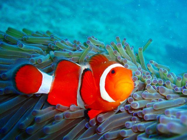 check me out  (Okinawa, Japan)