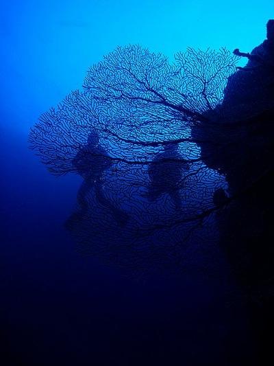 seragaki wall (Okinawa, Japan)