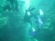 San Pedro Canyons, Belize