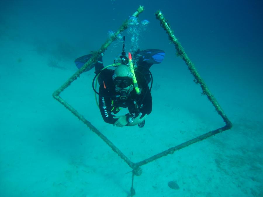 Roatan Swim Through