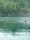 Our Dive group @ Loch Low-Minn