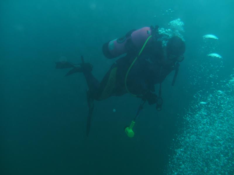 Diving the quarry Sept 2009