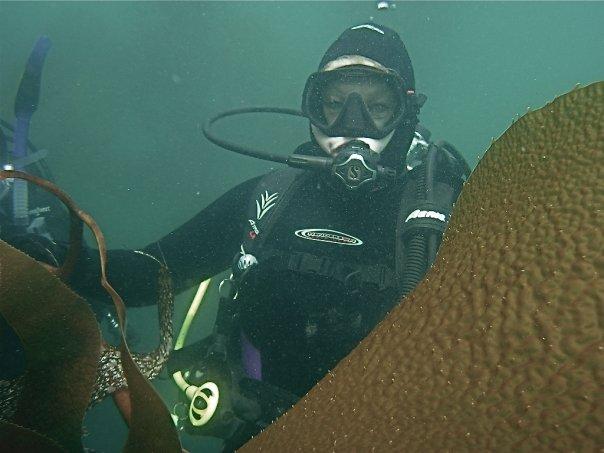 Broom Tail Reef