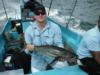 Tuna off Coiba Island, Panama