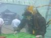Diving Competition At Seaworks 2007
