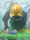 Diving Competition At Seaworks 2007