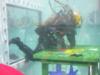 Diving Competition At Seaworks 2007