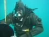 Diving at Dutch Springs, PA