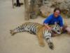 me and tiger