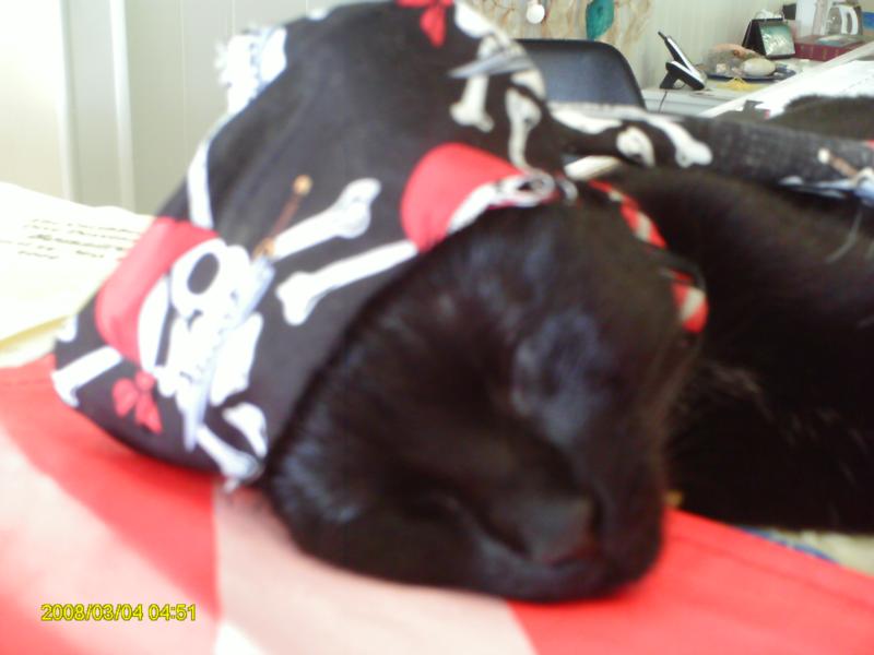 Cat Tale Diving Adventures