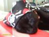 Cat Tale Diving Adventures