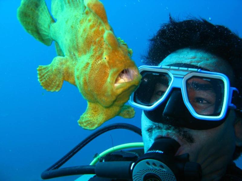 My Scuba Instructor Rudy Playing with stone fish.