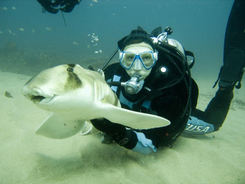 With a Port Jackson shark