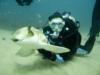 With a Port Jackson shark