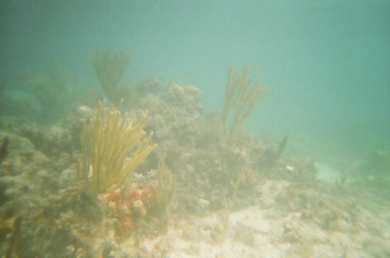 bahamas 2008