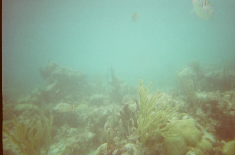 bahamas 2008