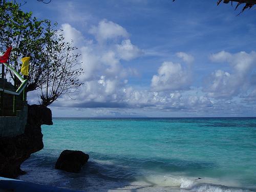 My Paradise
