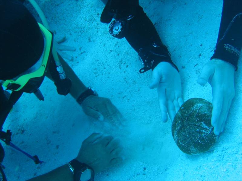 hidden ocean money