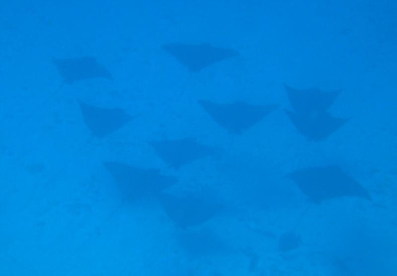 They were 80ft down