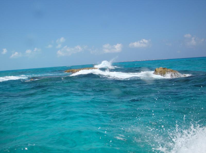 From the Boat