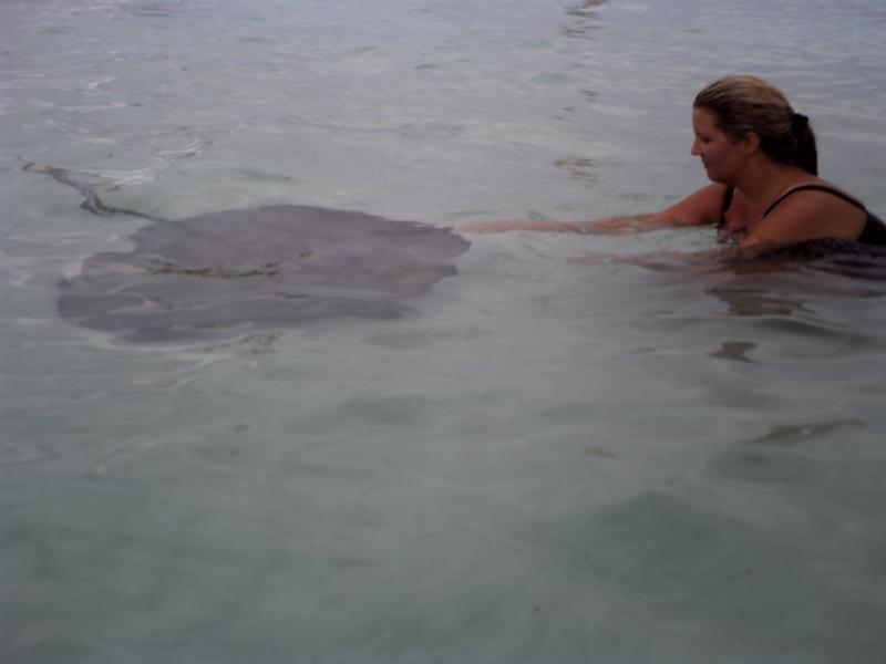 The Rays of Grand Cayman