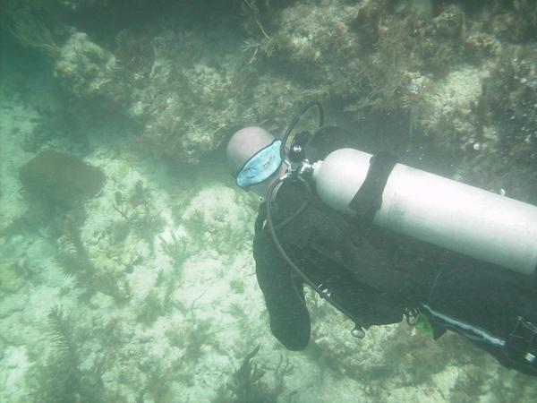 Checking for eels