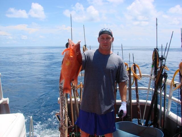 Nice hogfish