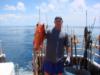 Nice hogfish