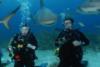 Bahamas Shark Feeding Dive