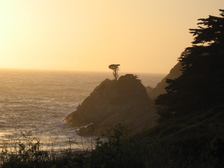 sunset at point lobos park