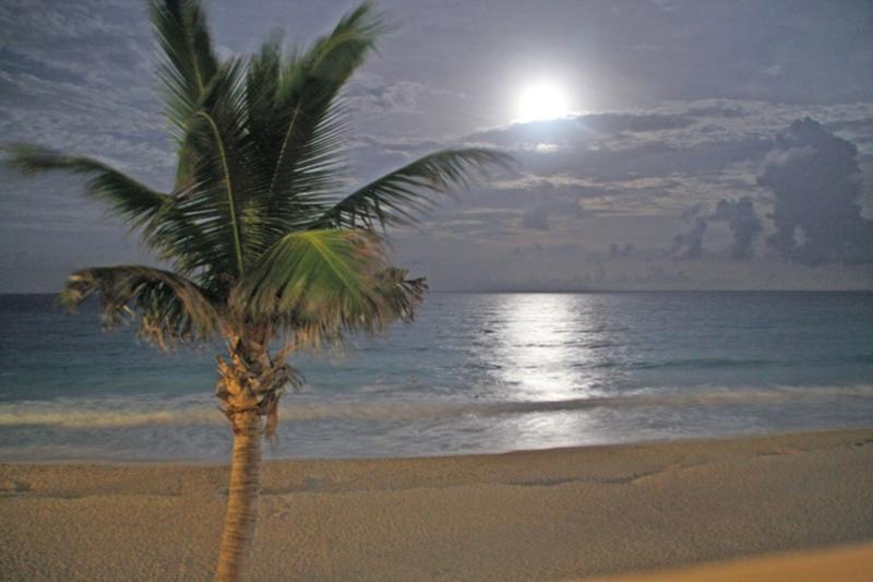 Cancun Moonlight
