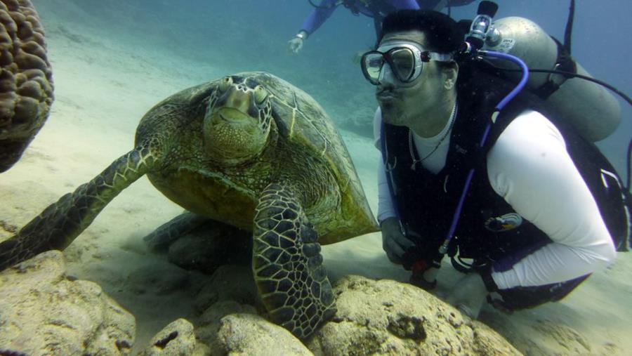 underwater romance