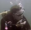 fun diving in Quepos